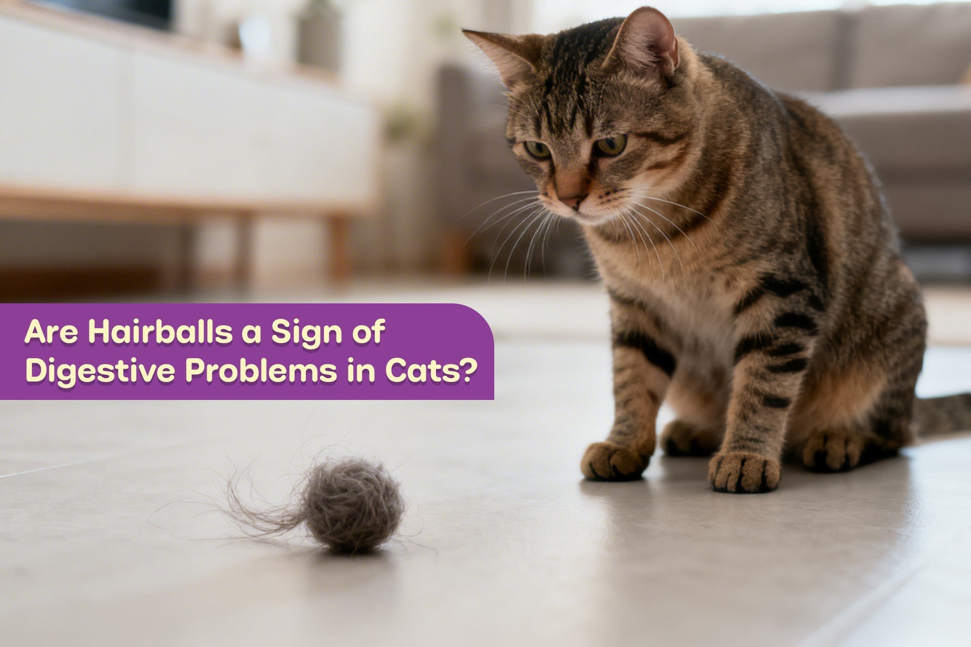 Are Hairballs a Sign of Digestive Problems in Cats?
