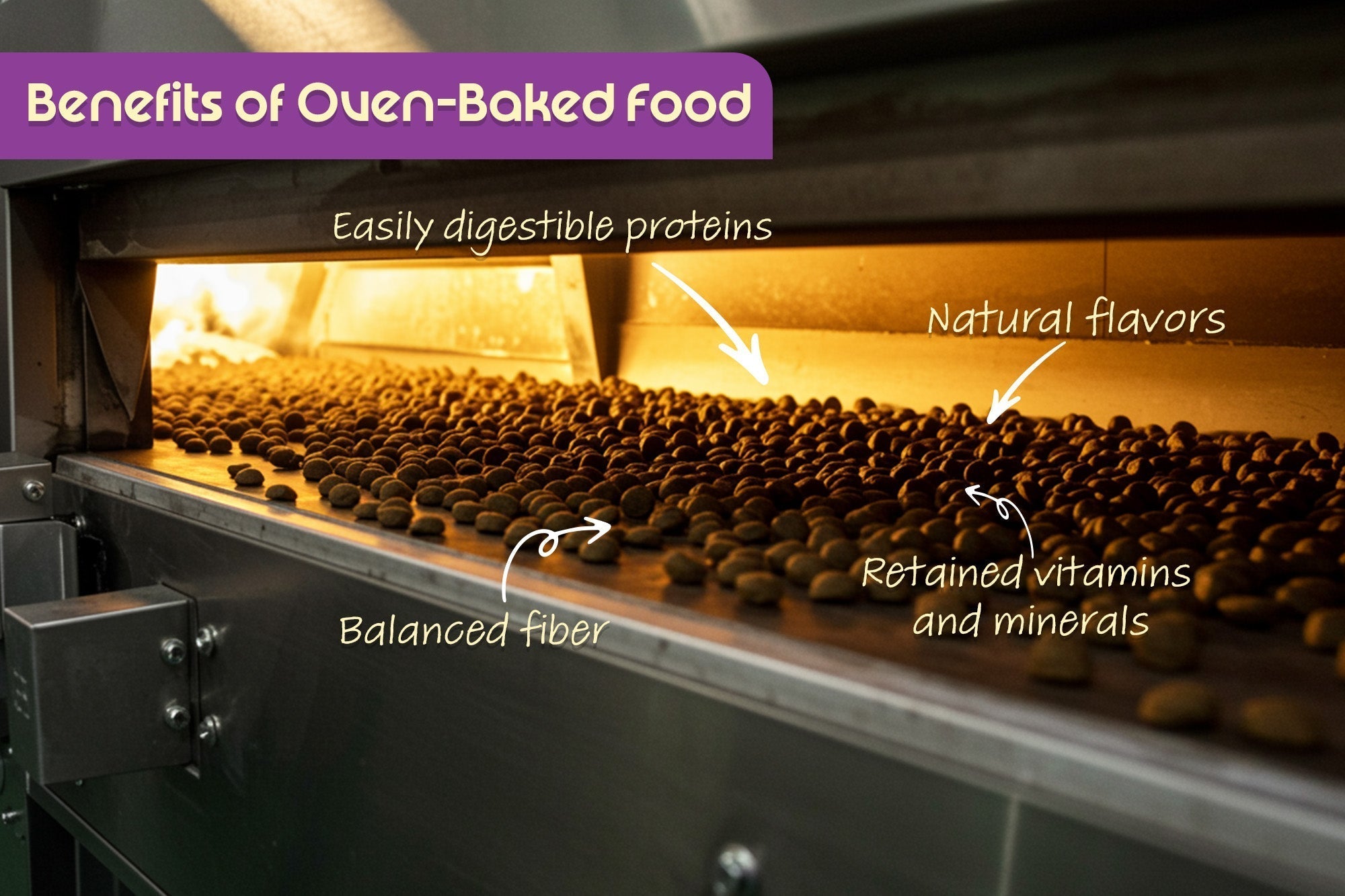 Benefits of Oven-Baked Food 
