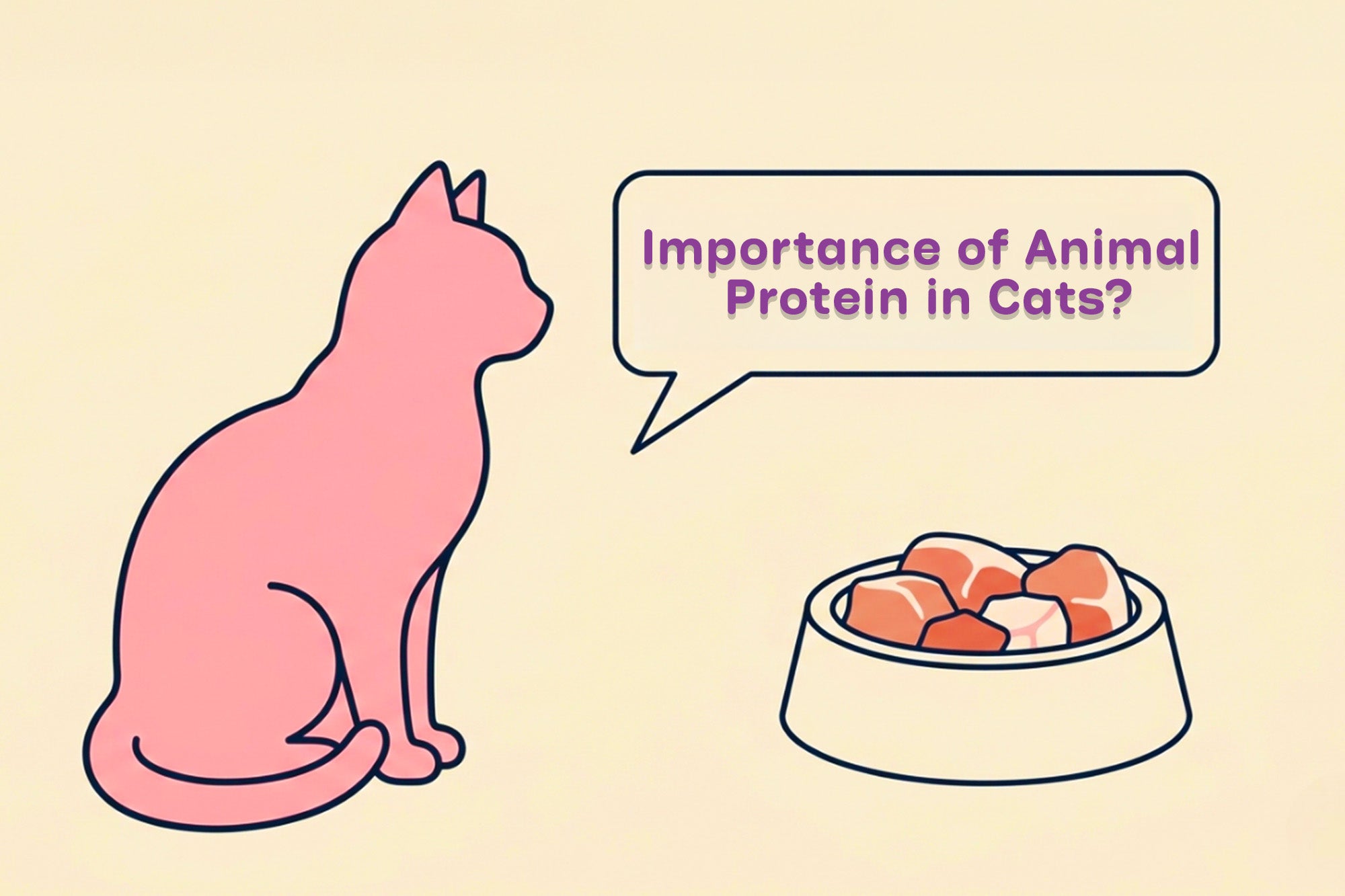 Importance of Animal Protein in Cats?