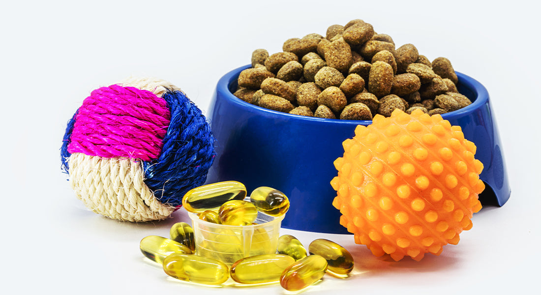 How do Omega-3s from Salmon & Mackerel help reduce inflammation in cats?