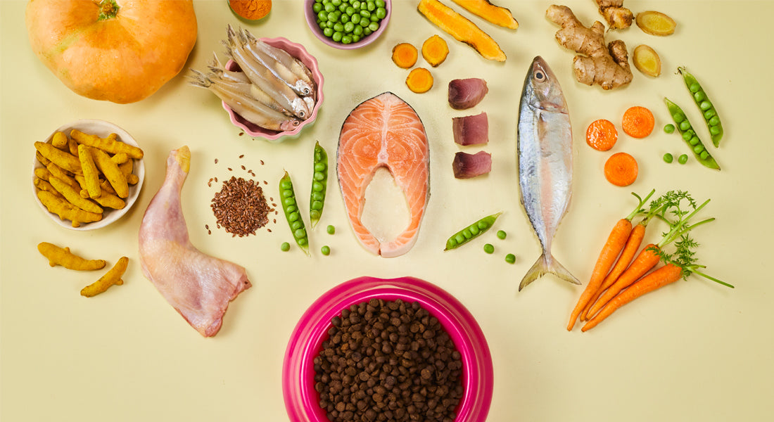 Understanding Cat Food: What ingredients  are important in cat food ?