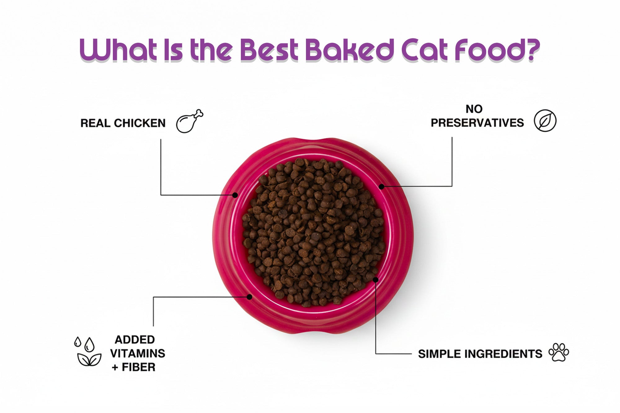 What Is the Best Baked Cat Food?