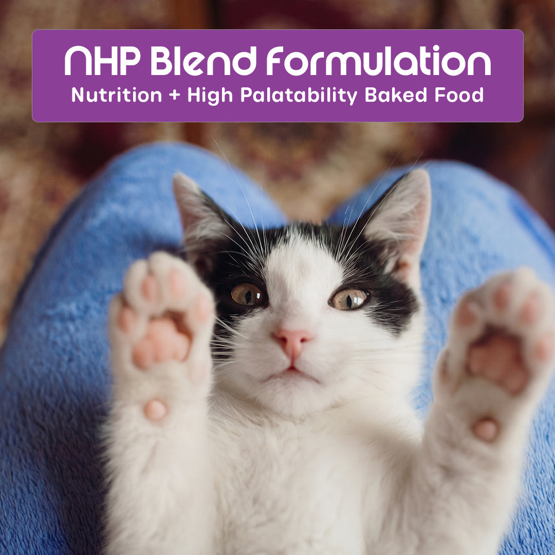 Nutritionally Formulated Cat Food For Adult & Kitten