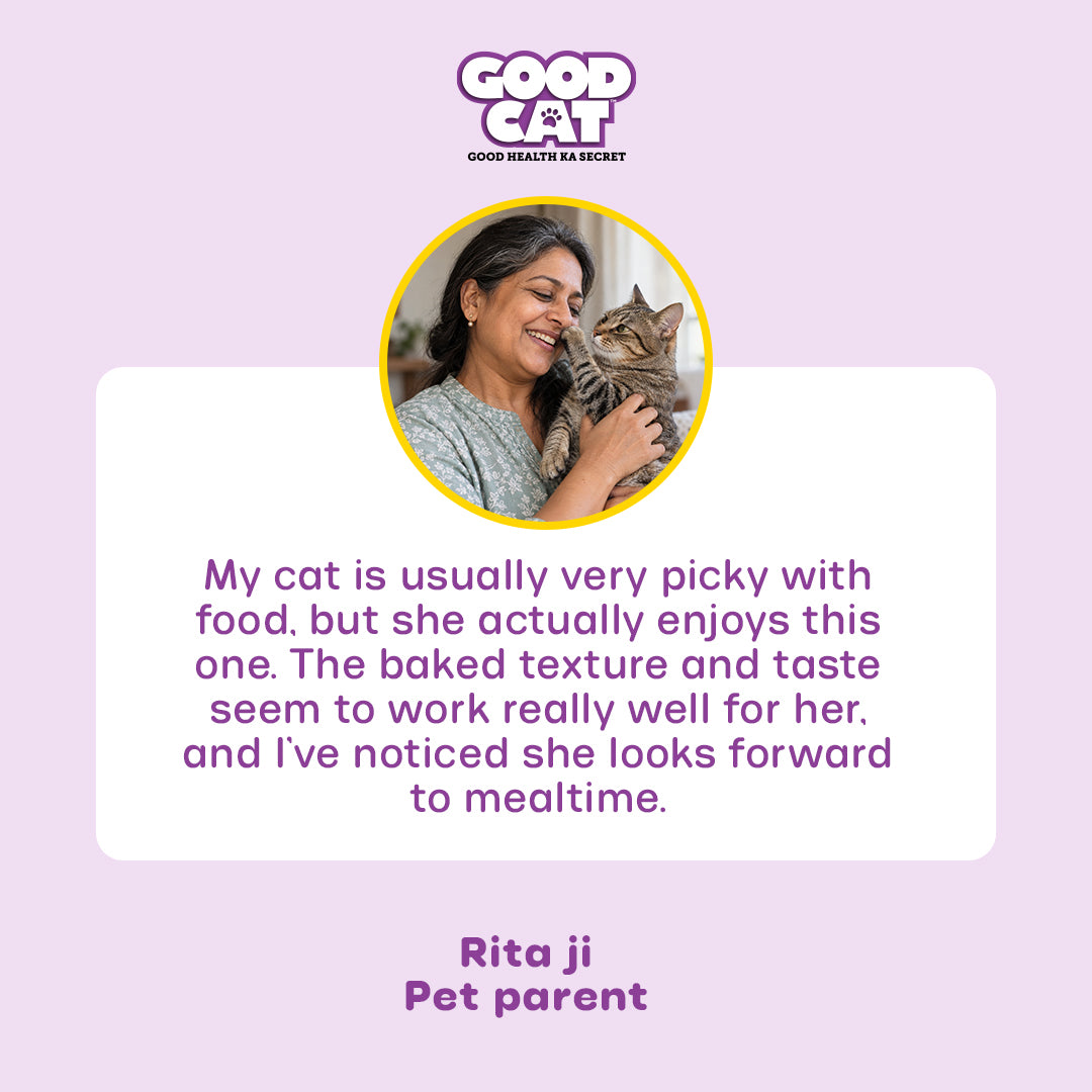 Nutritionally Formulated Cat Food For Adult & Kitten