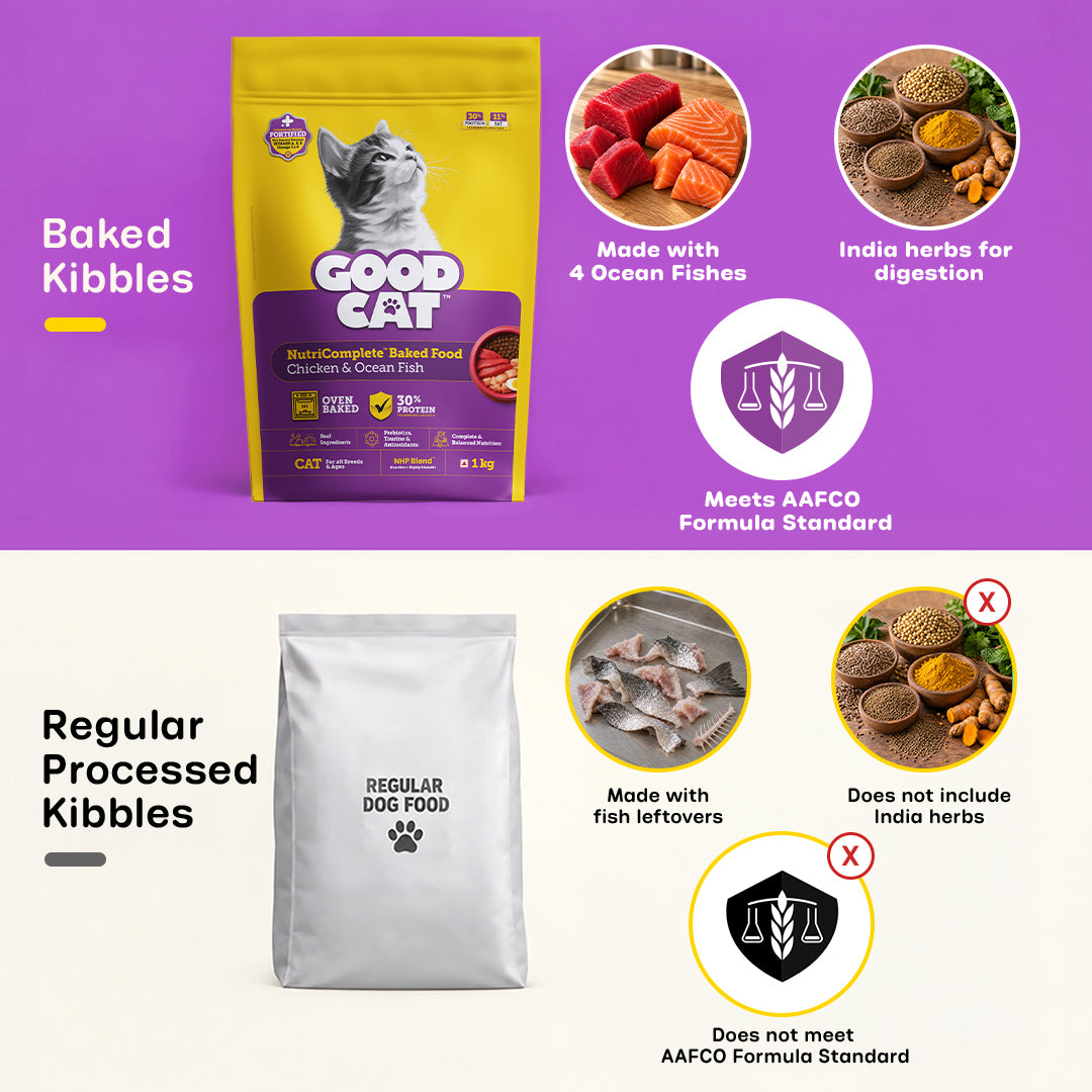 Nutritionally Formulated Cat Food For Adult & Kitten