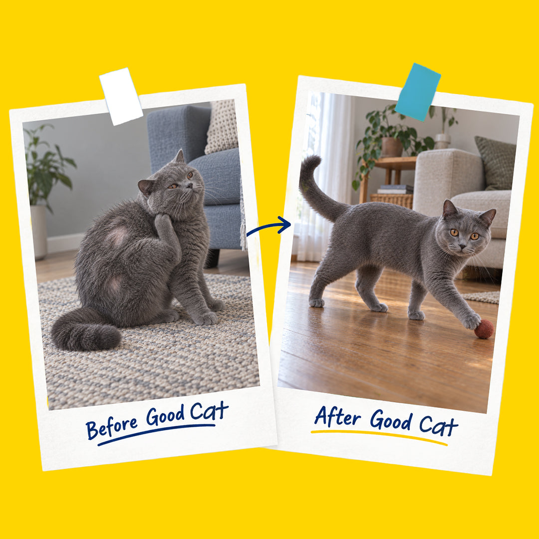 Nutritionally Formulated Cat Food For Adult & Kitten
