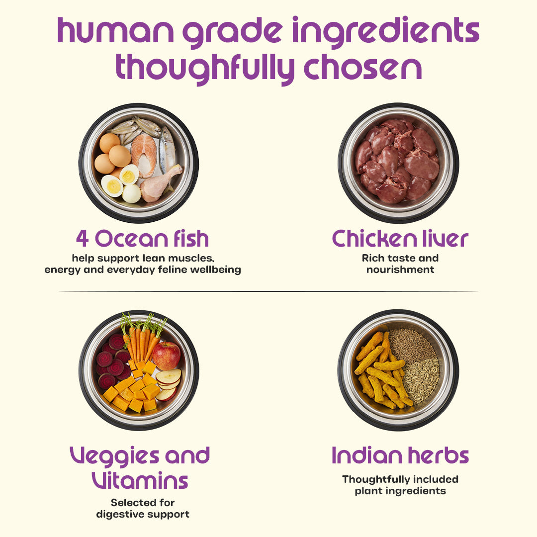 Nutritionally Formulated Cat Food For Adult & Kitten