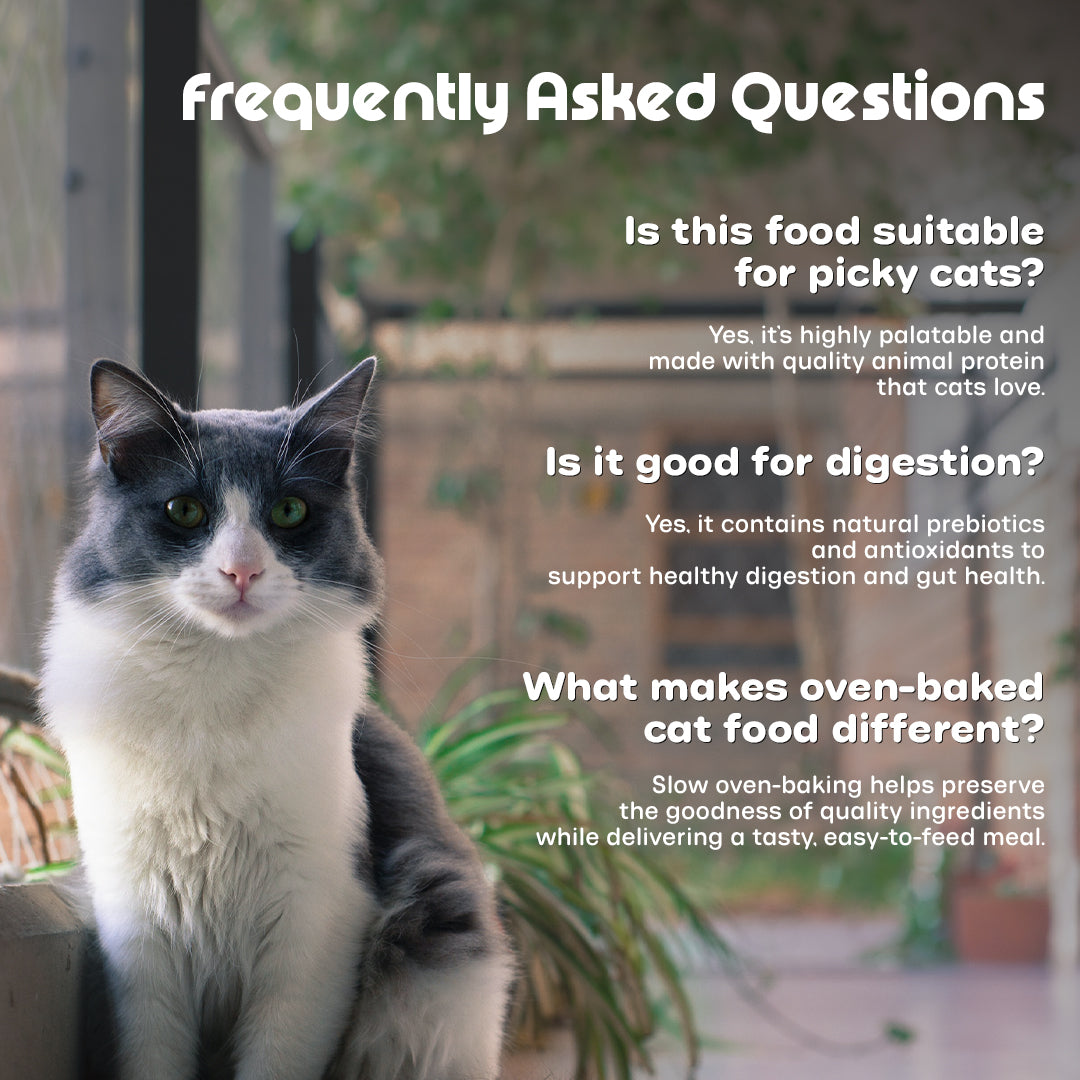 Nutritionally Formulated Cat Food For Adult & Kitten