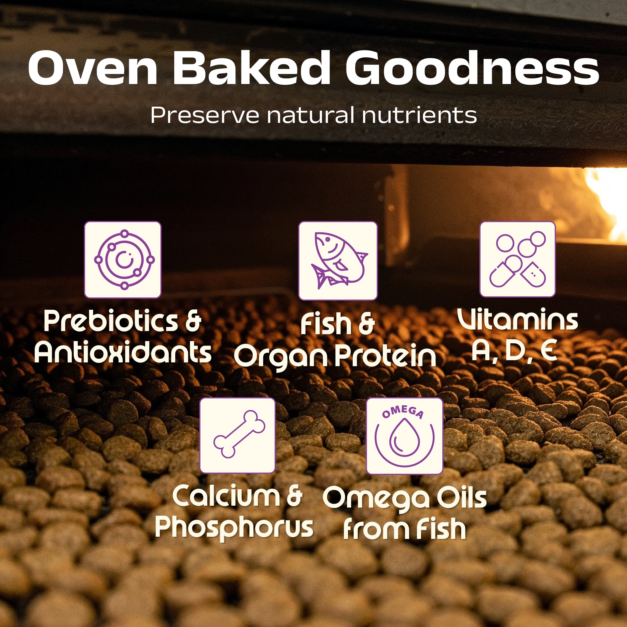 Nutritionally Formulated Cat Food