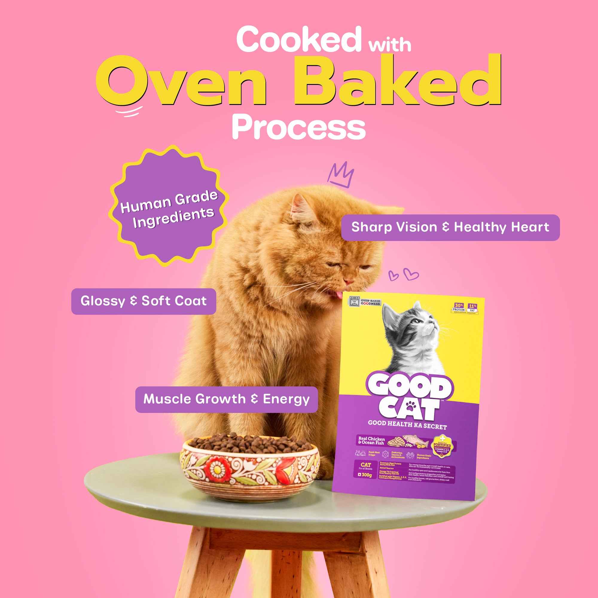 Nutritionally Formulated Cat Food