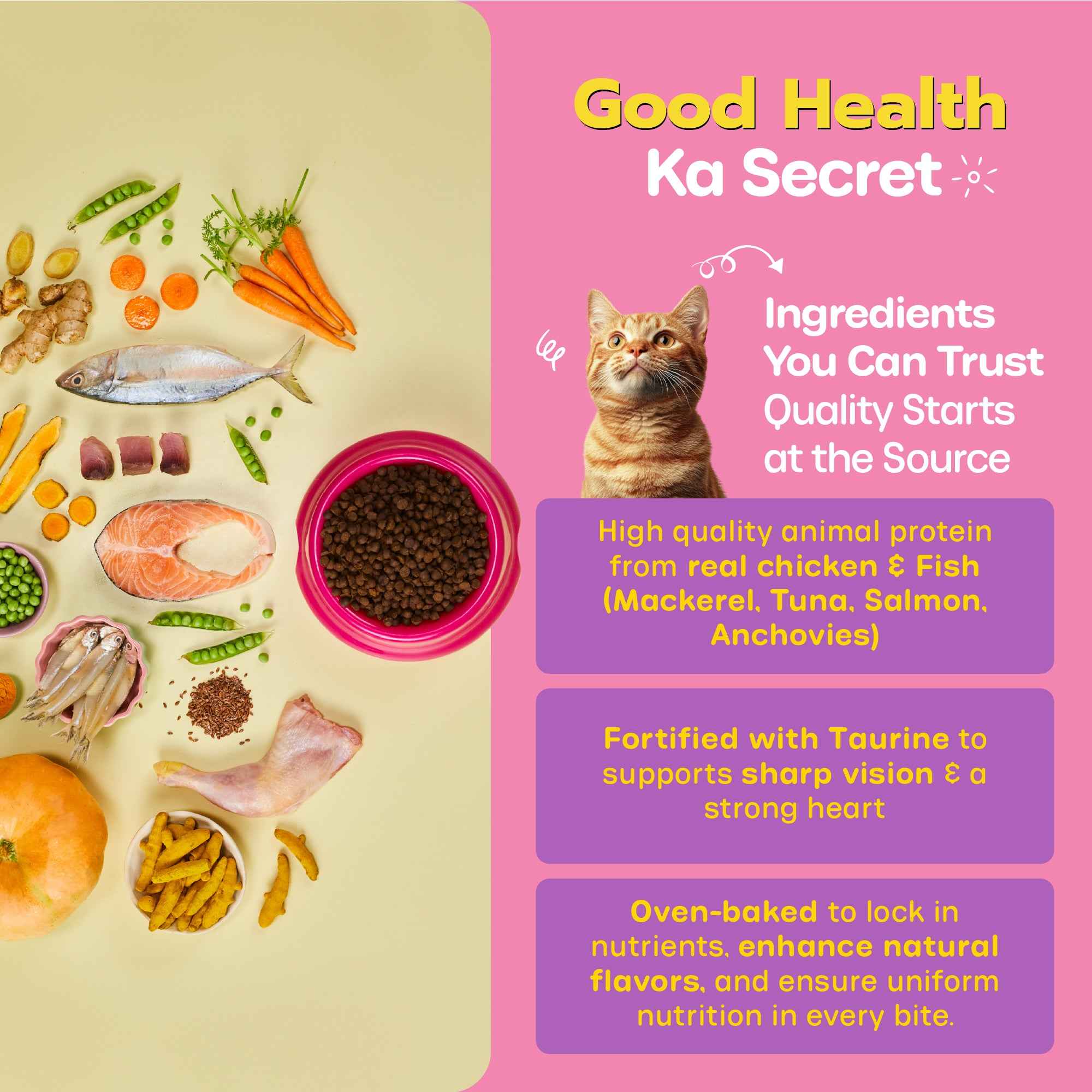 Nutritionally Formulated Cat Food