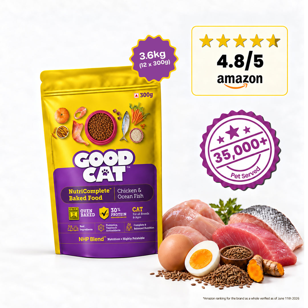 Nutritionally Formulated Cat Food For Adult & Kitten