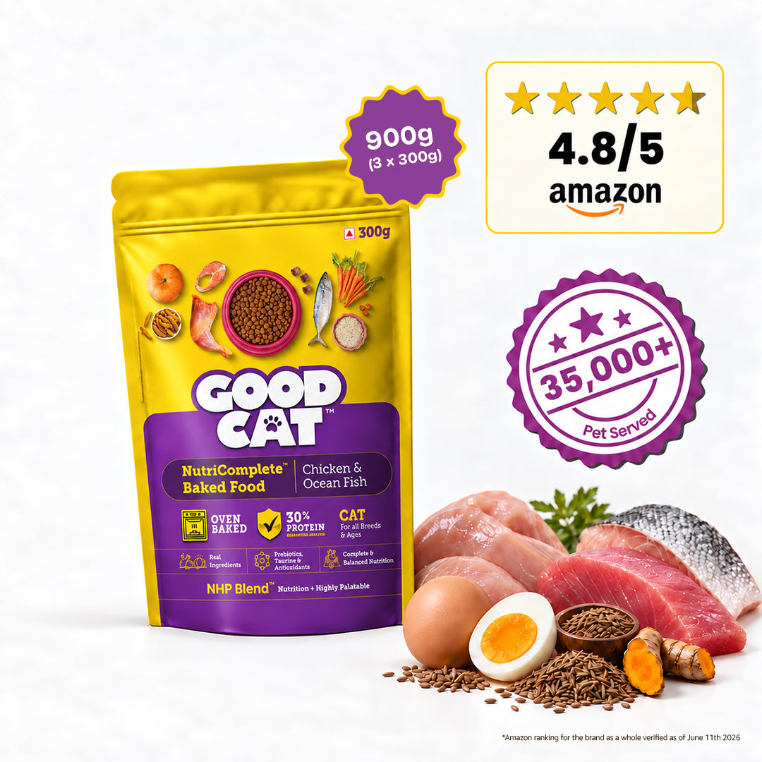 Nutritionally Formulated Cat Food For Adult & Kitten