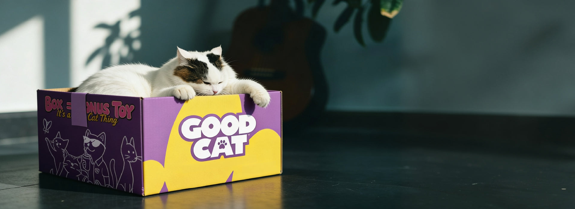 Cat lying on a 'Good Cat' branded box with a blurred background