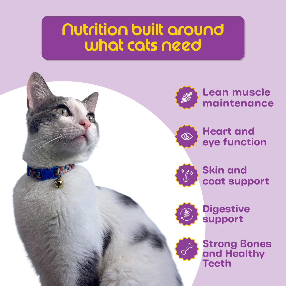Nutritionally Formulated Cat Food