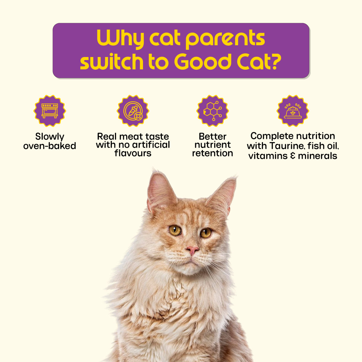 Nutritionally Formulated Cat Food